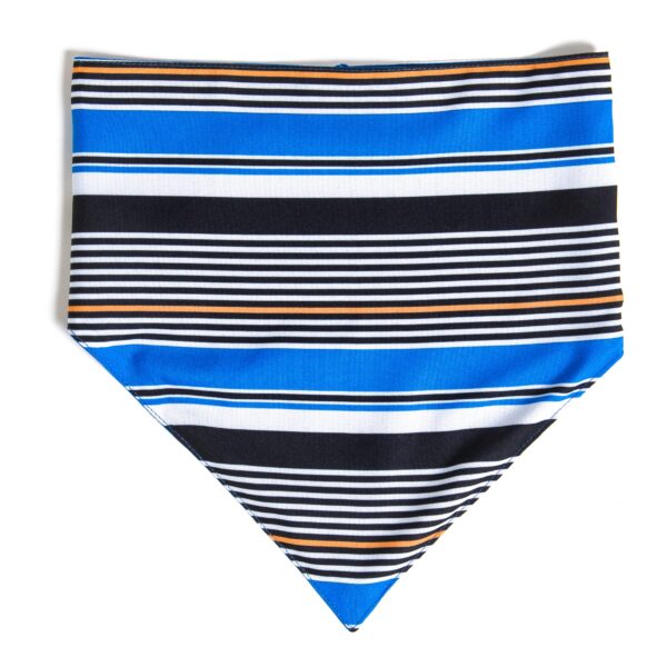 Bandana Crazy Stripes - M
